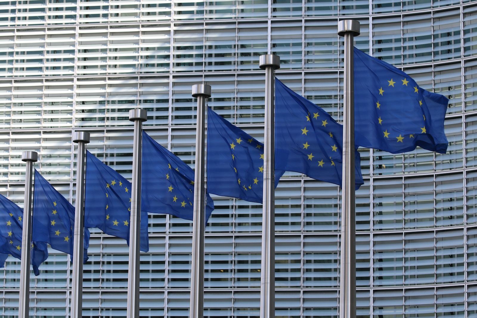 blue and white flags on pole European union