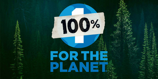 Patagonia to donate all Black Friday profits to green groups