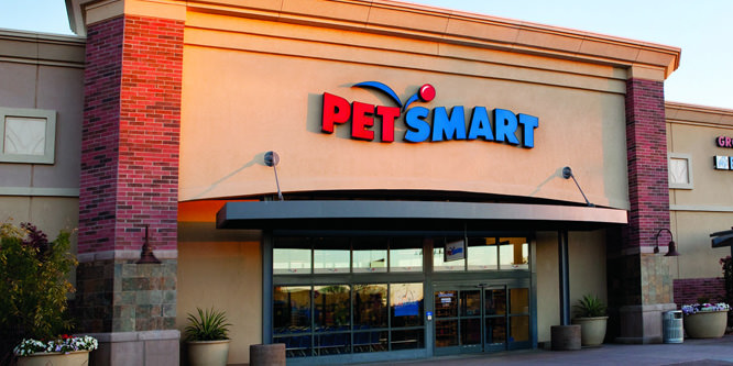 Is PetSmart barking up the right/wrong tree with same-day delivery?