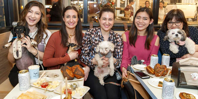 A dog café marks its territory in Manhattan