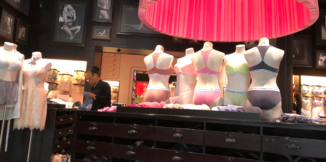 Victoria's Secret lingerie challenged by Parade, a start-up