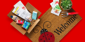 Will Amazon, CVS or Walgreens win the speedy Rx delivery race?