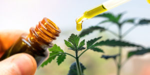 Kroger is high on the CBD sales opportunity