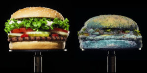 Was Burger King smart to showcase moldy Whoppers?