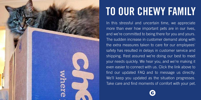 Will Chewy build on its current sales momentum once the COVID-19 threat has passed?