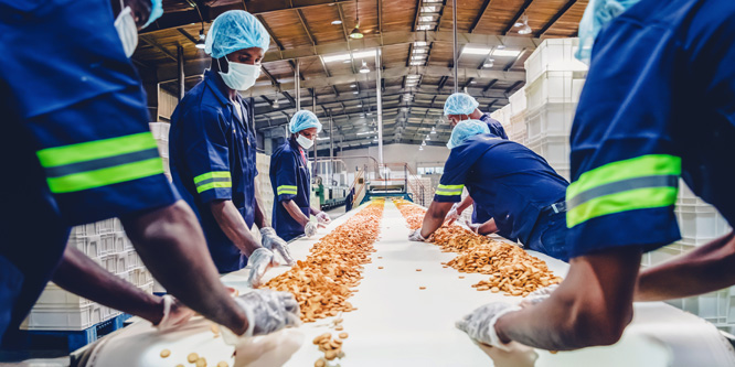 Is America’s food supply chain nearing its breaking point?