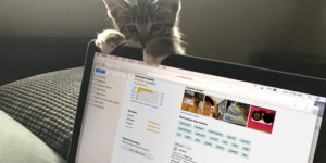 Would Amazon and Google benefit from publishing fake consumer reviews?