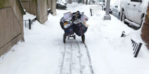 Can retailers mitigate holiday delivery fee spikes?