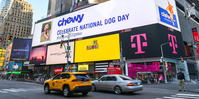 Chewy takes a bigger bite out of the pet products market