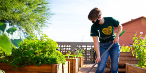 Starbucks’ opens green innovation center