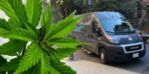 Will Amazon become the Amazon of weed if Congress legalizes it?