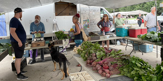 Do farmers markets need to be reinvented for the digital age?