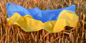 Will Russia’s invasion of Ukraine ignite a global food crisis?