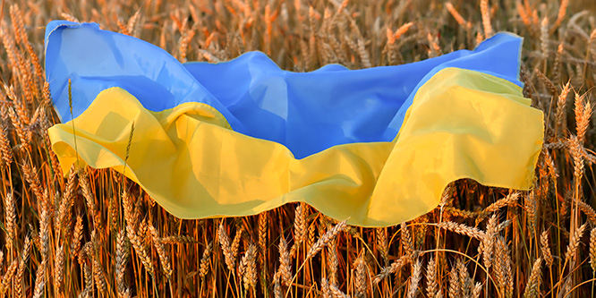 Will Russia’s invasion of Ukraine ignite a global food crisis?