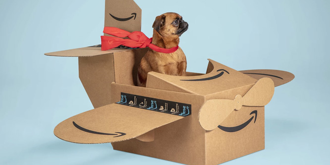 Will Amazon’s Pet Day take a bite out of Chewy?