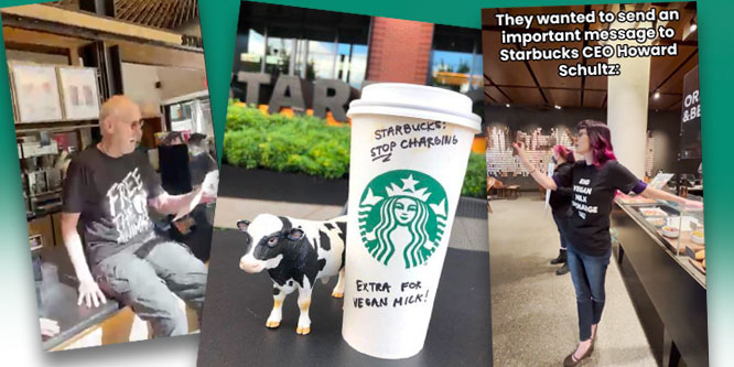 ‘Babe’ star makes dramatic gesture over Starbucks’ upcharge for non-dairy milk