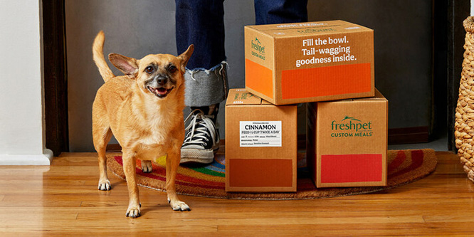 Dog standing next to Freshpet meal boxes