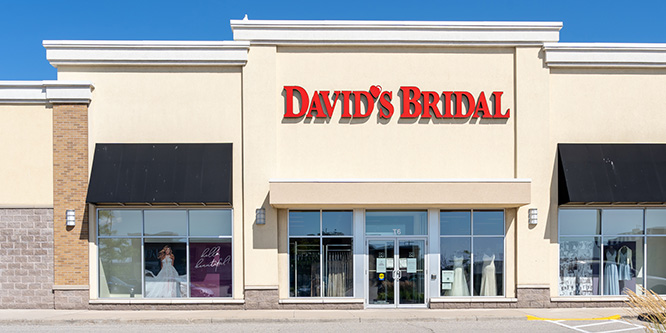 Mississauga, On, Canada - August 2, 2021: The David's Bridal store at Meadowvale Shopping Center in Mississauga, On, Canada. David's Bridal is an American Retail chain.
