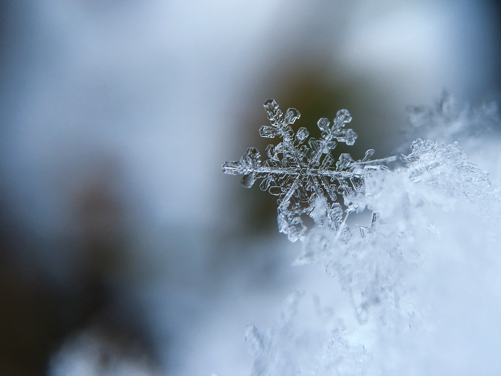 focused photo of a snow flake cold