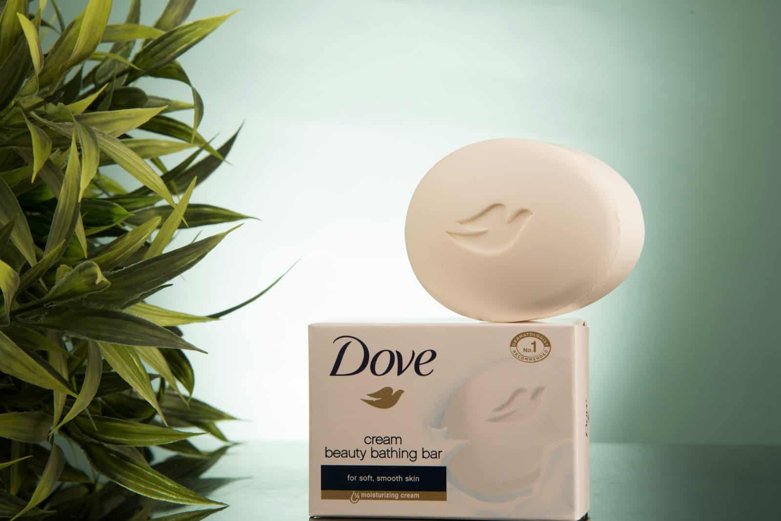 white Dove soap beside plant