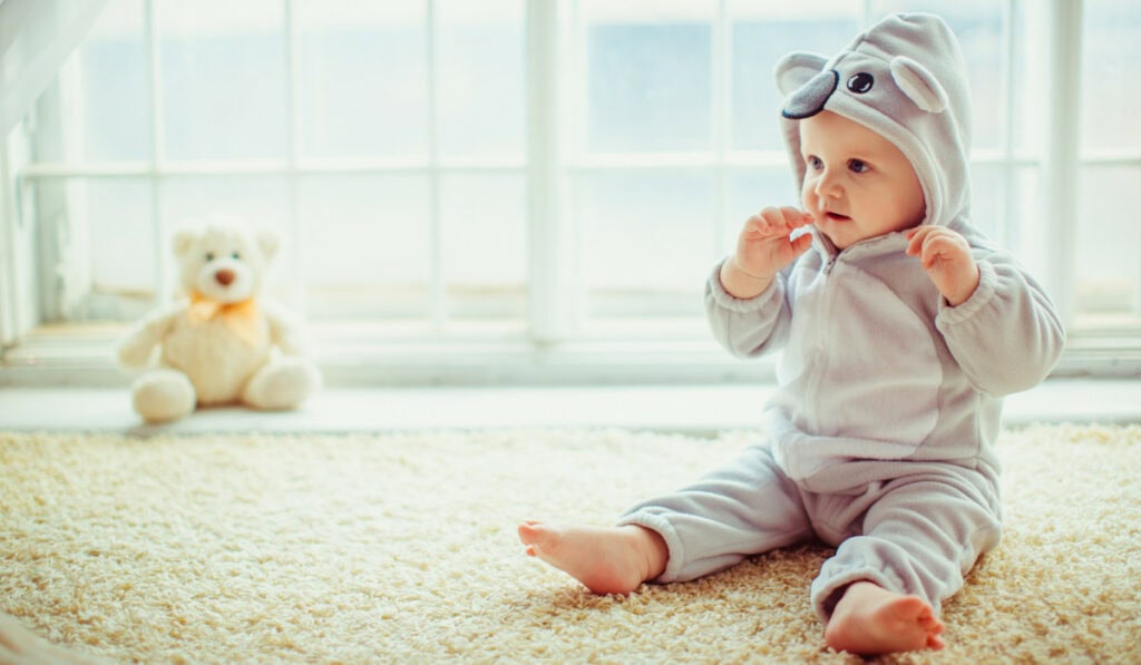 Fisher-Price Initiates Recall for Over 2M Snuga Infant Swings