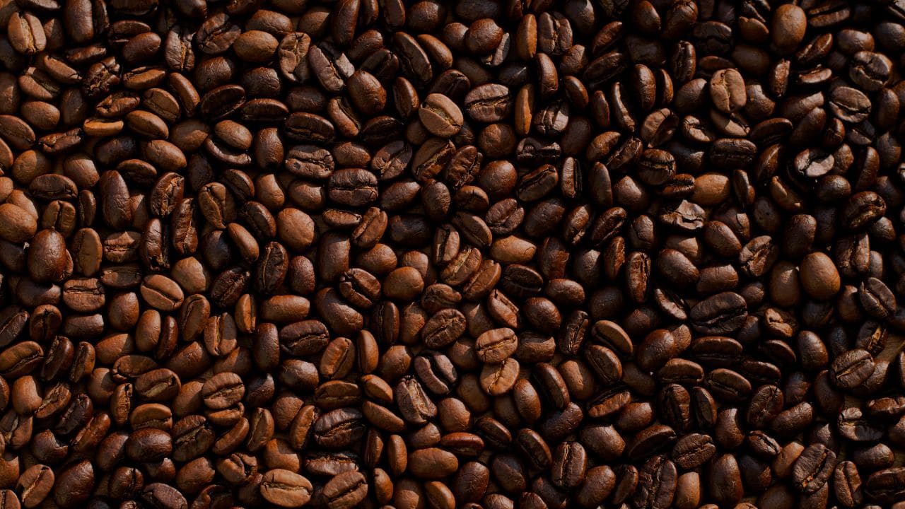 Canned Coffee Recall What We Know