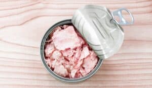 Canned Tuna recall