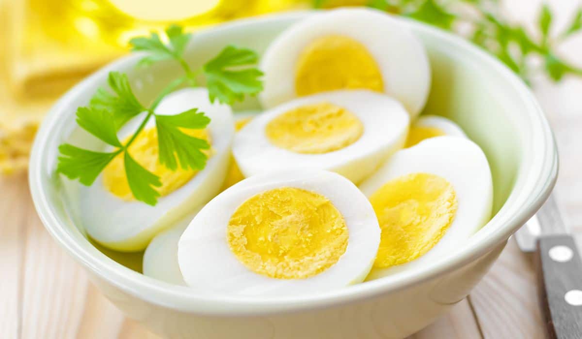 FDA new guidelines, eggs in