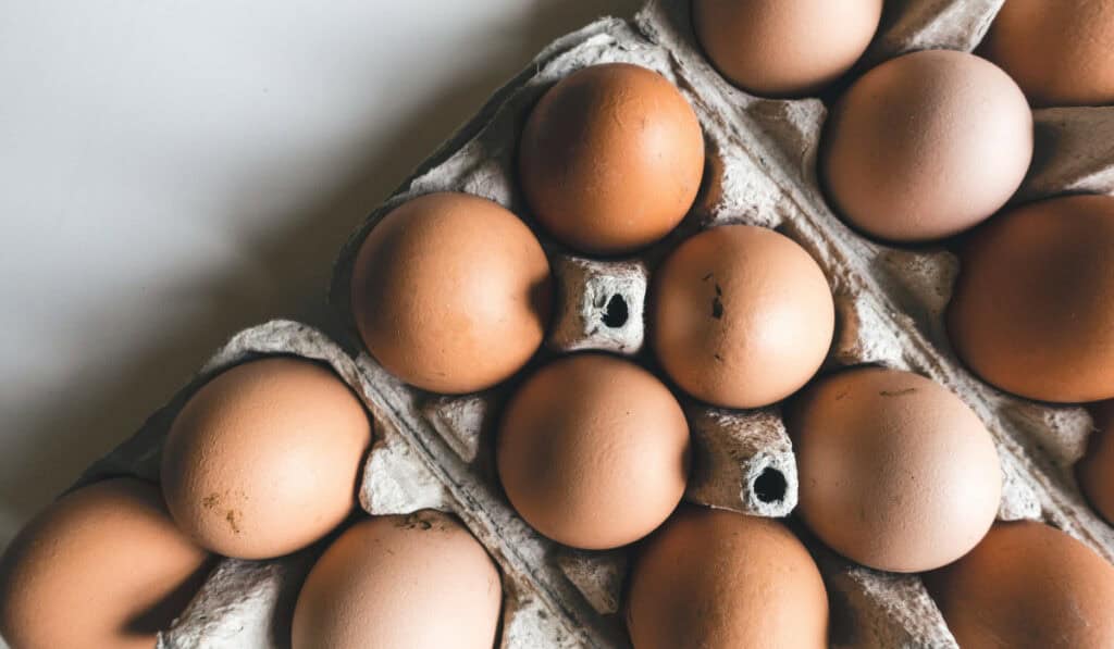 Scrambling for Eggs: Costco & Trader Joe’s Restrict Sales
