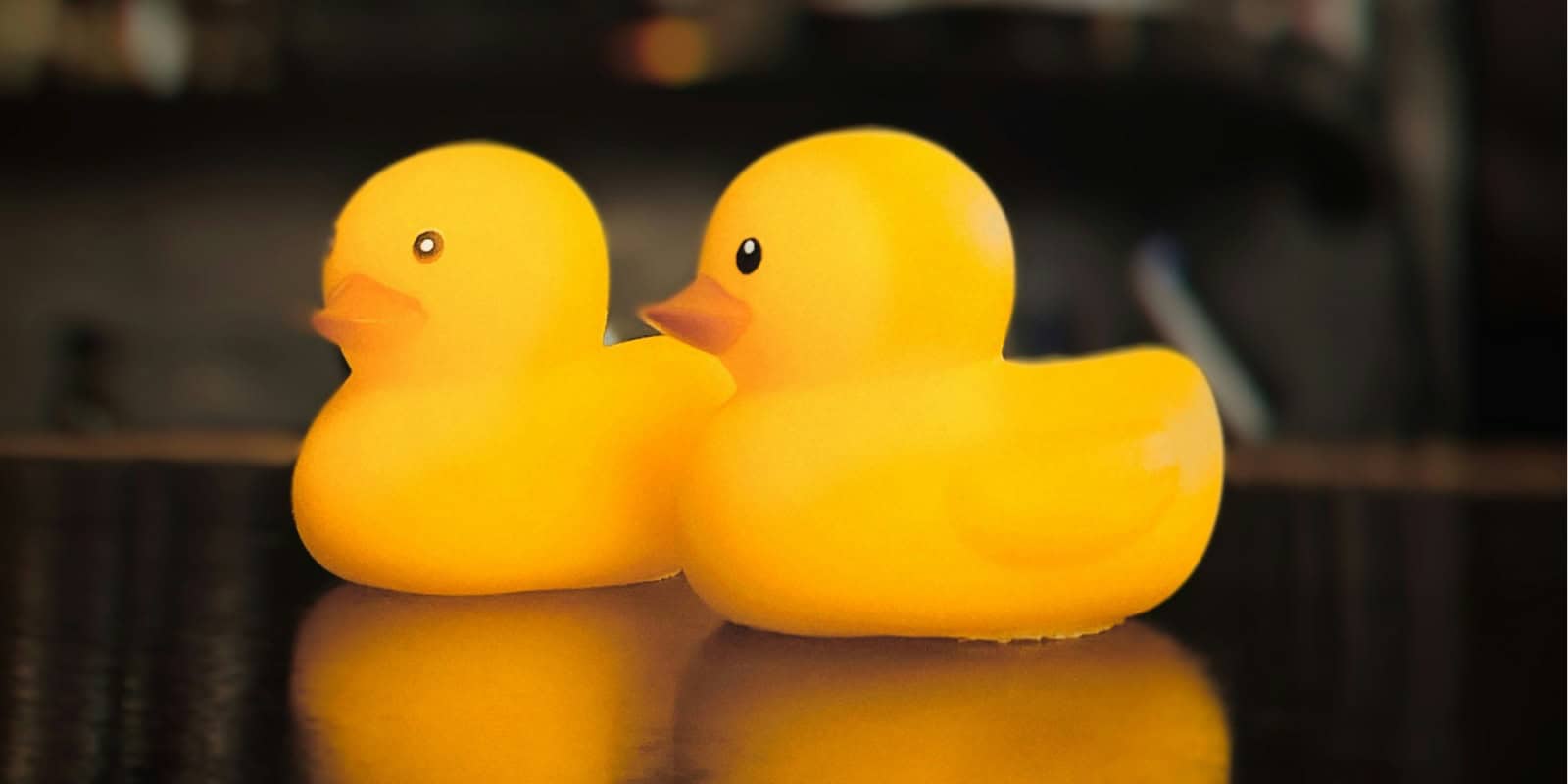 Two plastic ducks, Stripe