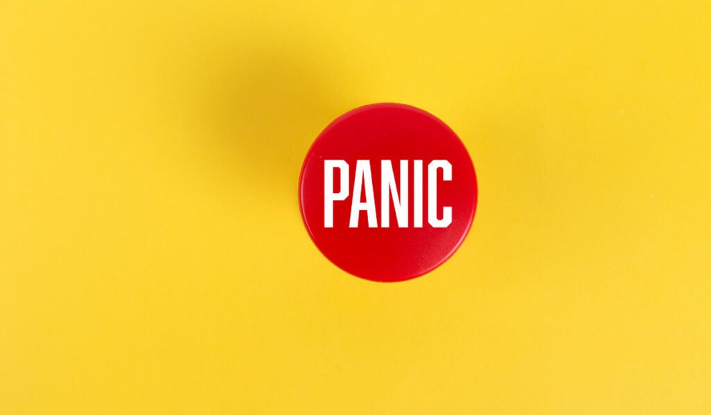 Panic button