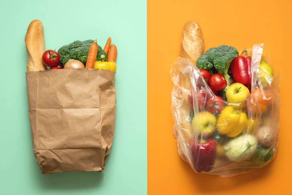 Grocery bags, paper versus plastic