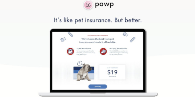 picture of screen with small dog and promotion of Pawp, text: "It's like pet insurance. But better."