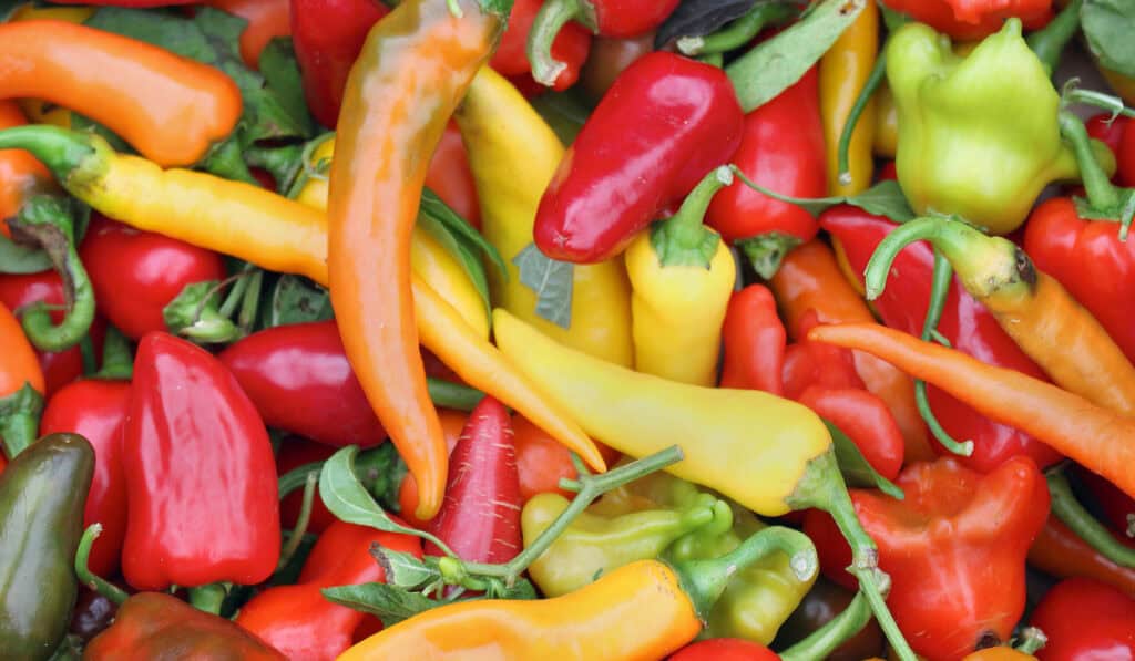 ‘Swicy’ Is the New Food Trend Sweeping the Nation