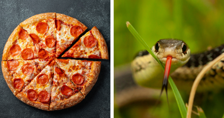 Pizza Hut Introduces New Snake Pizza Among Other Adventurous Menu Items