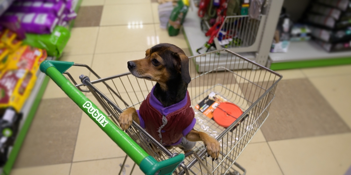 Dog in a sharping cart