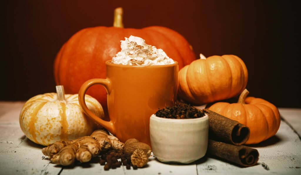 Celebrate National Pumpkin Spice Day