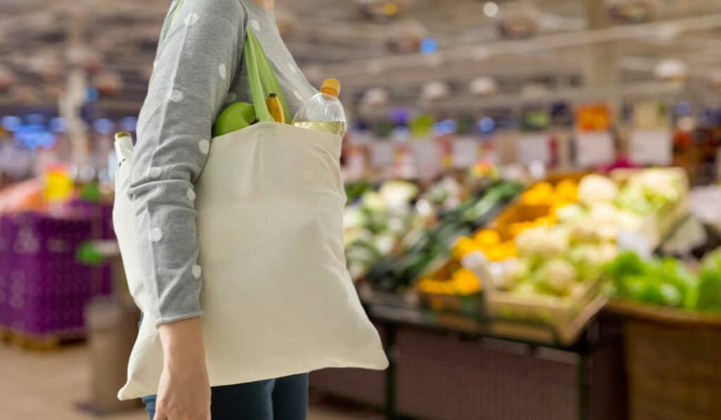 Giant Food Stores in D.C. Ban Big Bags as a Way To Reduce Theft in Stores