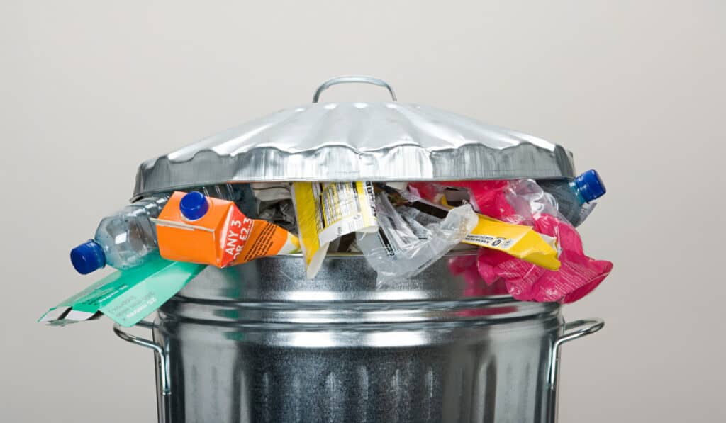 Binit Revolutionizes Waste Management With AI Integration