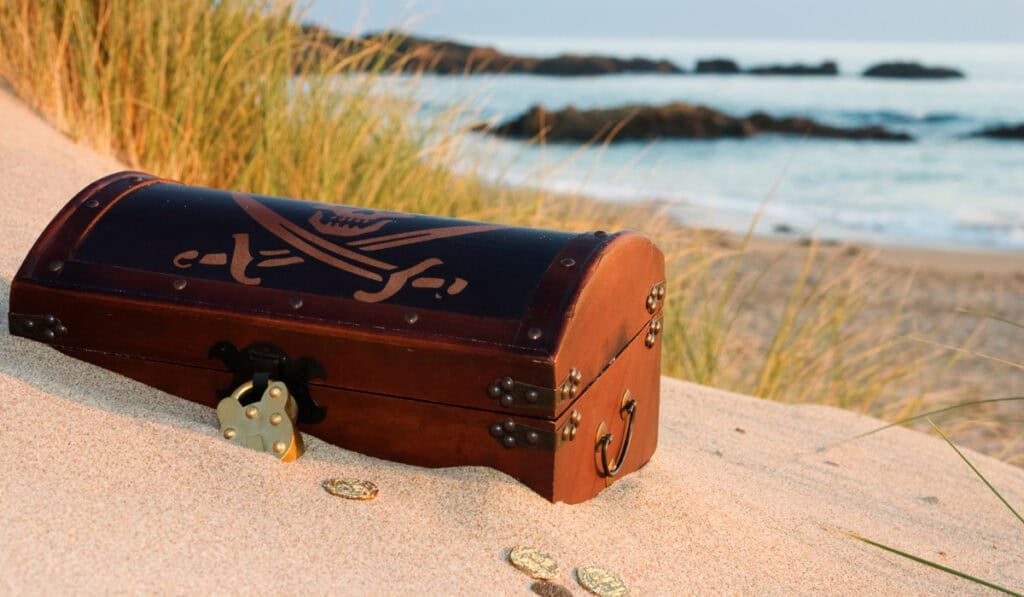 Entrepreneur Hides 5 Treasure Chests Worth $2M Across the United States