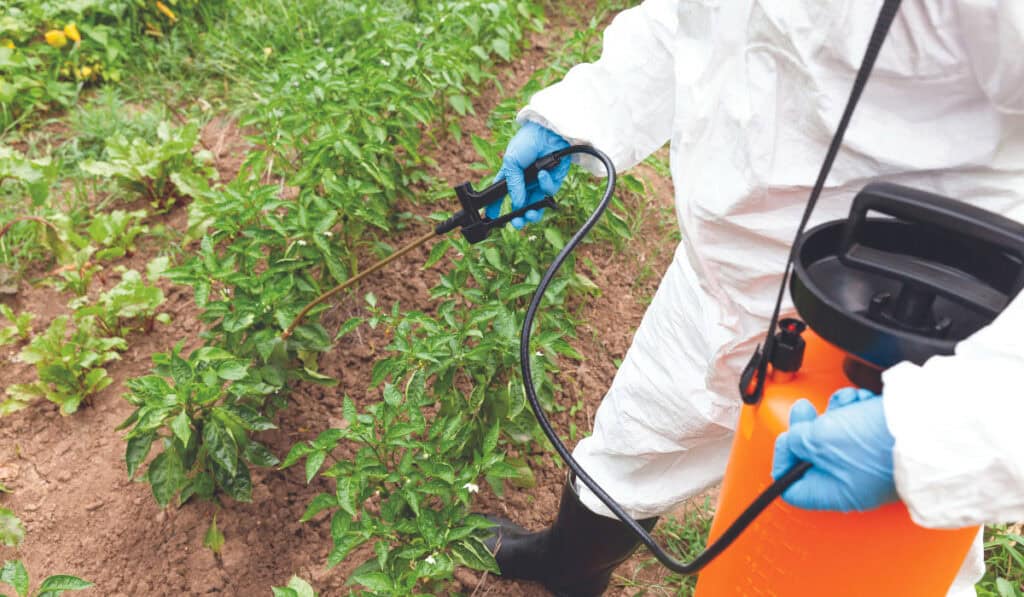 Monsanto Roundup Lawsuit Payout Slashed to $400 Million