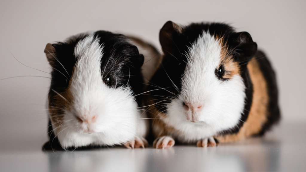 17-Year-Old Makes Over $30K Per Month With Amazon Side Hustle