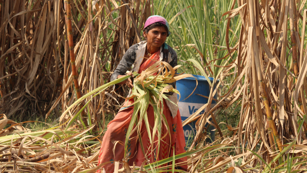 Luxury Brands Falling Short in Combating Forced Labor, Says New Report