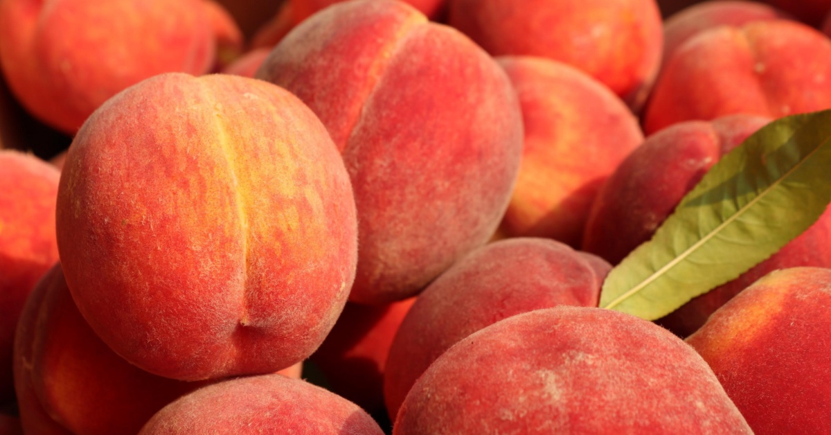 Bushel of peaches