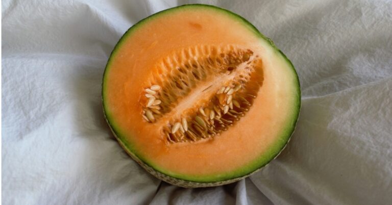 Salmonella Outbreak in Cantaloupes Linked to 32 States, 2 Dead