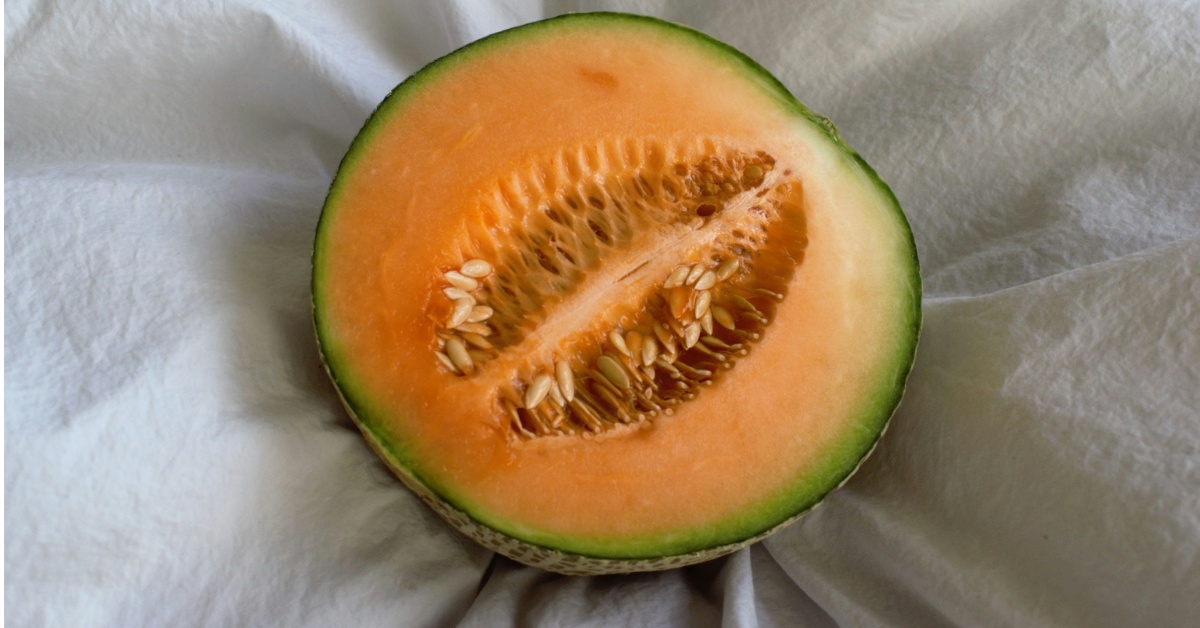 A photograph of a cantaloupe. Thirty-two states have had a recall of this Salmonella-infected fruit.