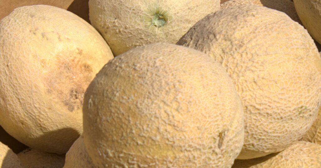 More Deaths Linked to Salmonella in Cantaloupe