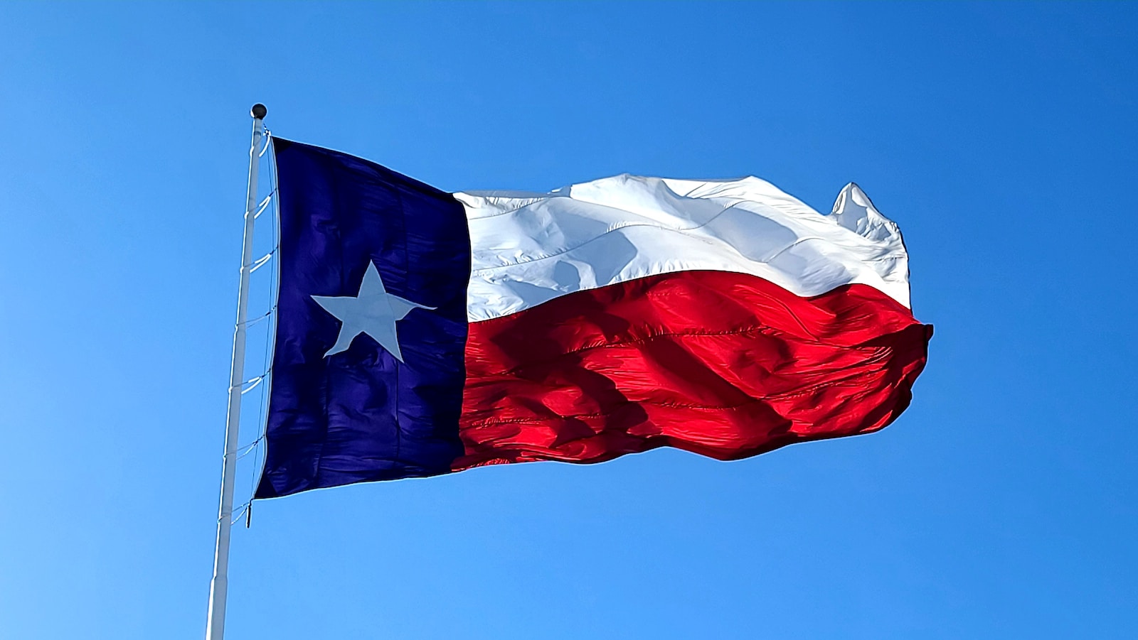 blue white and red flag texas