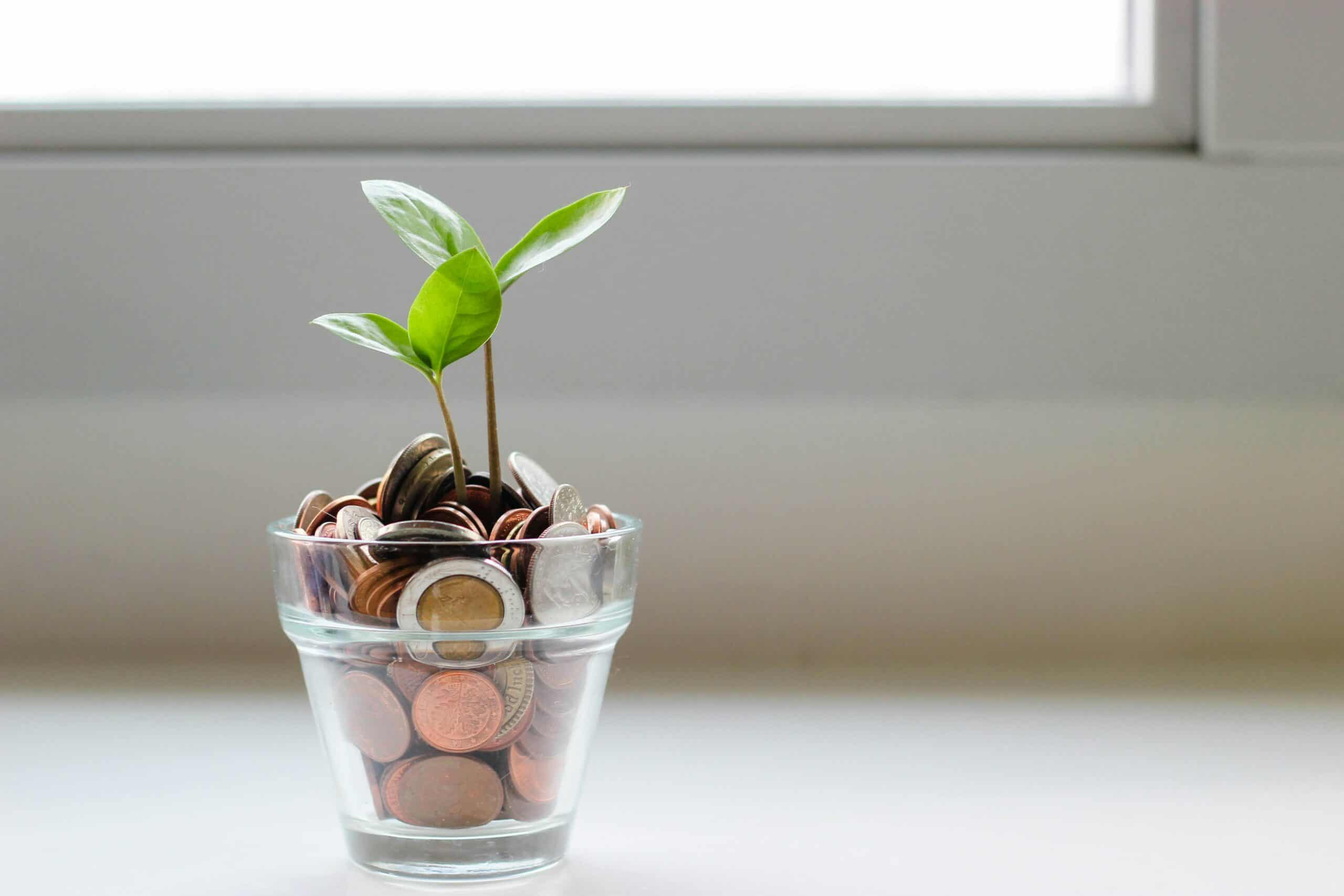 plant and coins in cup, financial lives
