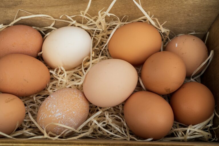 Kraft, Kellog, Nestle, & Others Score Legal Win Over Top Egg Producers